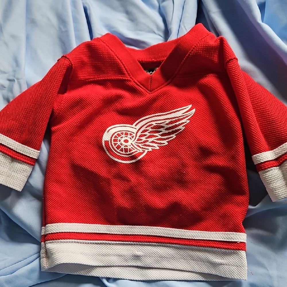NHL Red and White Detroit Red Wings Jersey